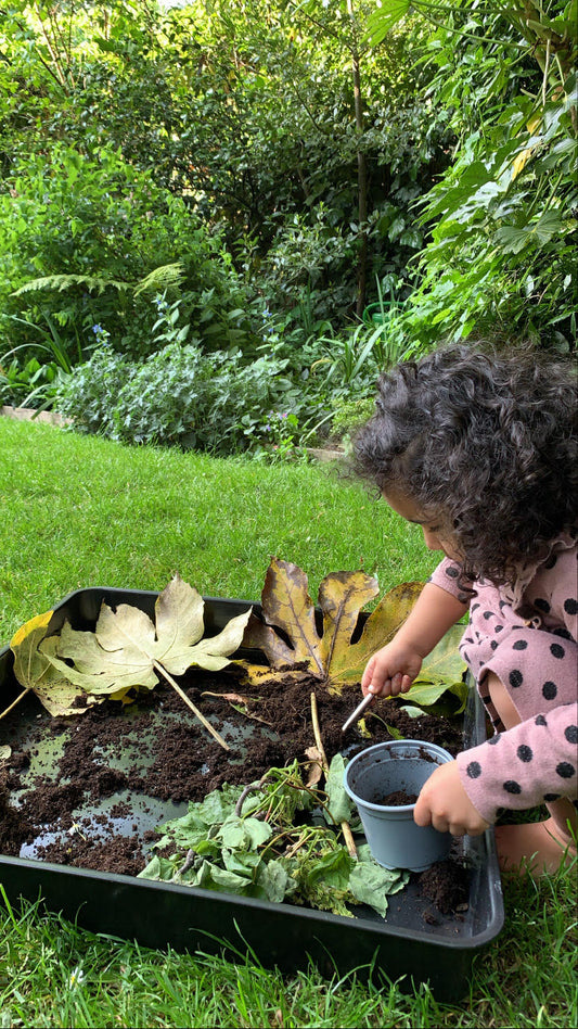The Importance of Practical Life Skills